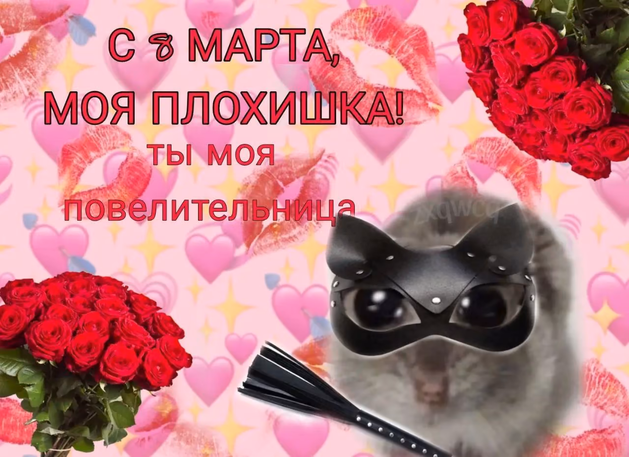 9128417342943643c6d650c4fd7dde73.avif