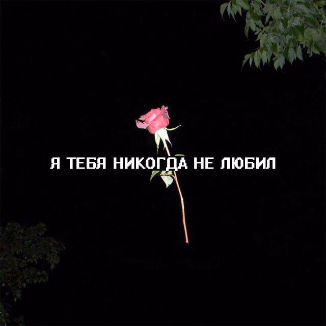 912950728ab8a3b06c4fca8a366eea6f.jpg