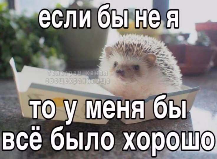 914ab35afb4504e298bb6fb5f00de5e0.jpg