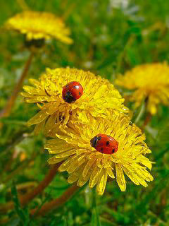 914e6abcdd5cb468268e990aaad6488a.jpg
