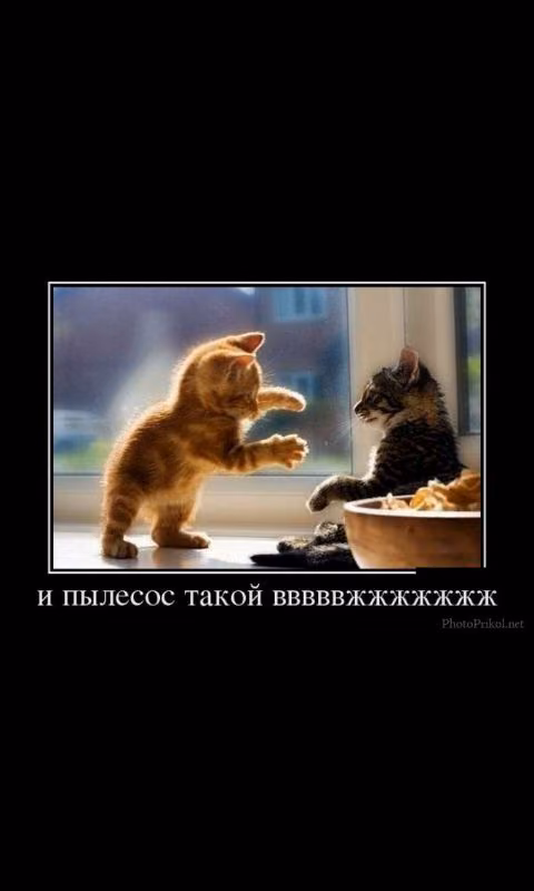 916ede3e7e9f2a9250915d0b12cec1a7.avif