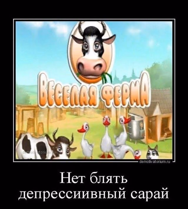 916f4cb351145aaf9750f2e406376491.jpg