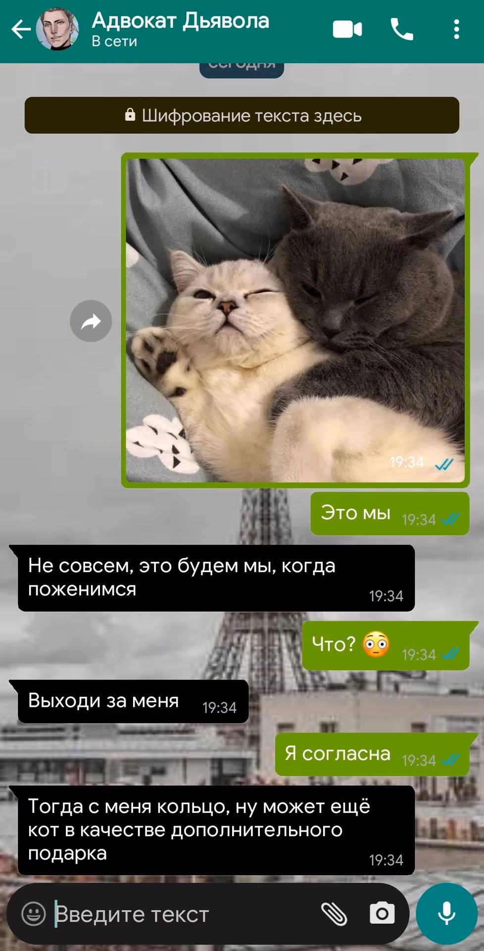 91702c6a02c38dca13280e140bfb69d9.avif