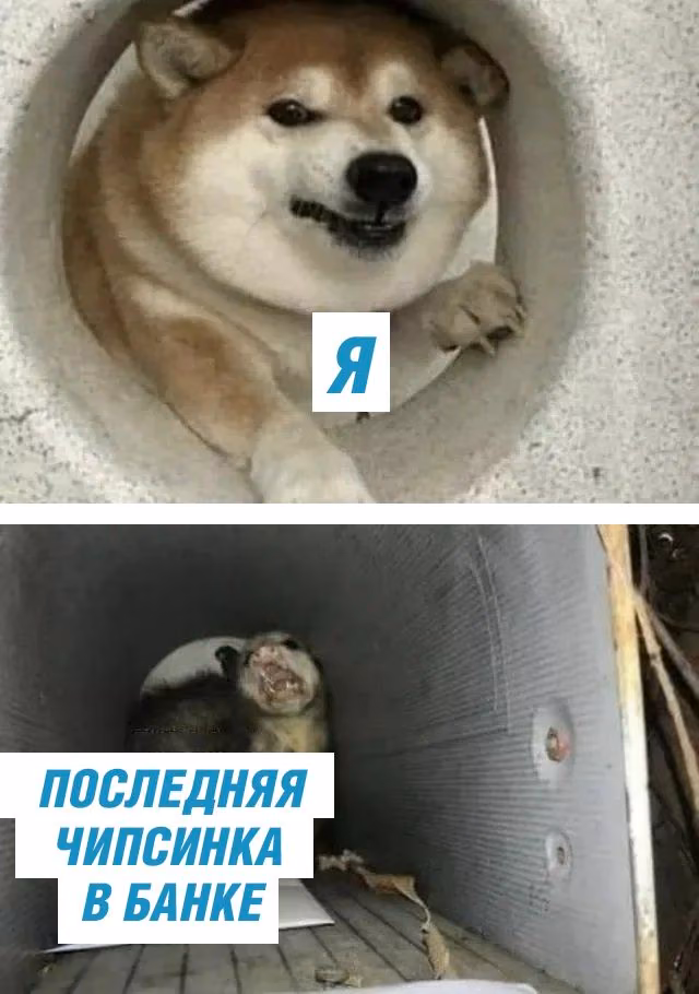 91723b8cc5dd58df8dd7a2dc4b80e754.avif
