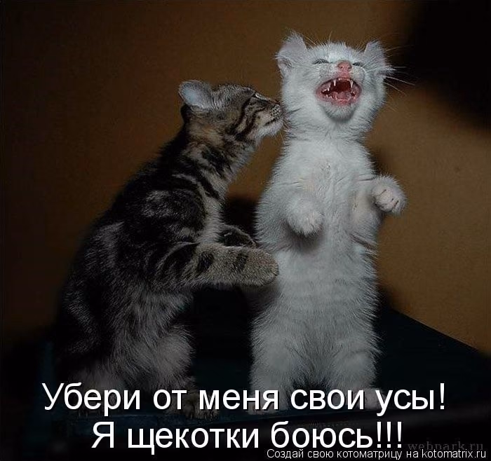 9174d5f80942d30fa0e94cd7180b8a39.avif