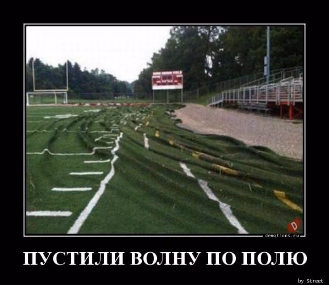 9175ebf8ae5956d5bb4f07afcb39496d.jpg