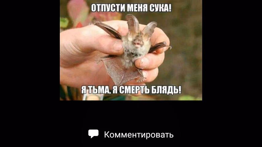 91764b59f37c72e1dcb244405da5f346.avif