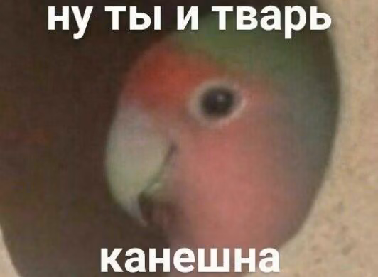 9178f9c81689ba17d12d02085e6022b9.avif