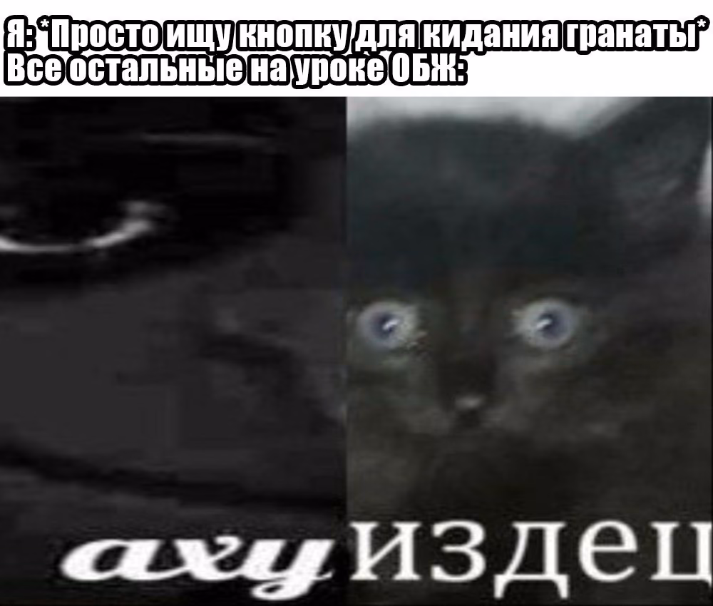 917e6dee9042e27ea2de059d015ef6a6.avif