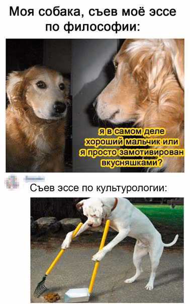 91915767730c34900efaf7fa56291120.avif