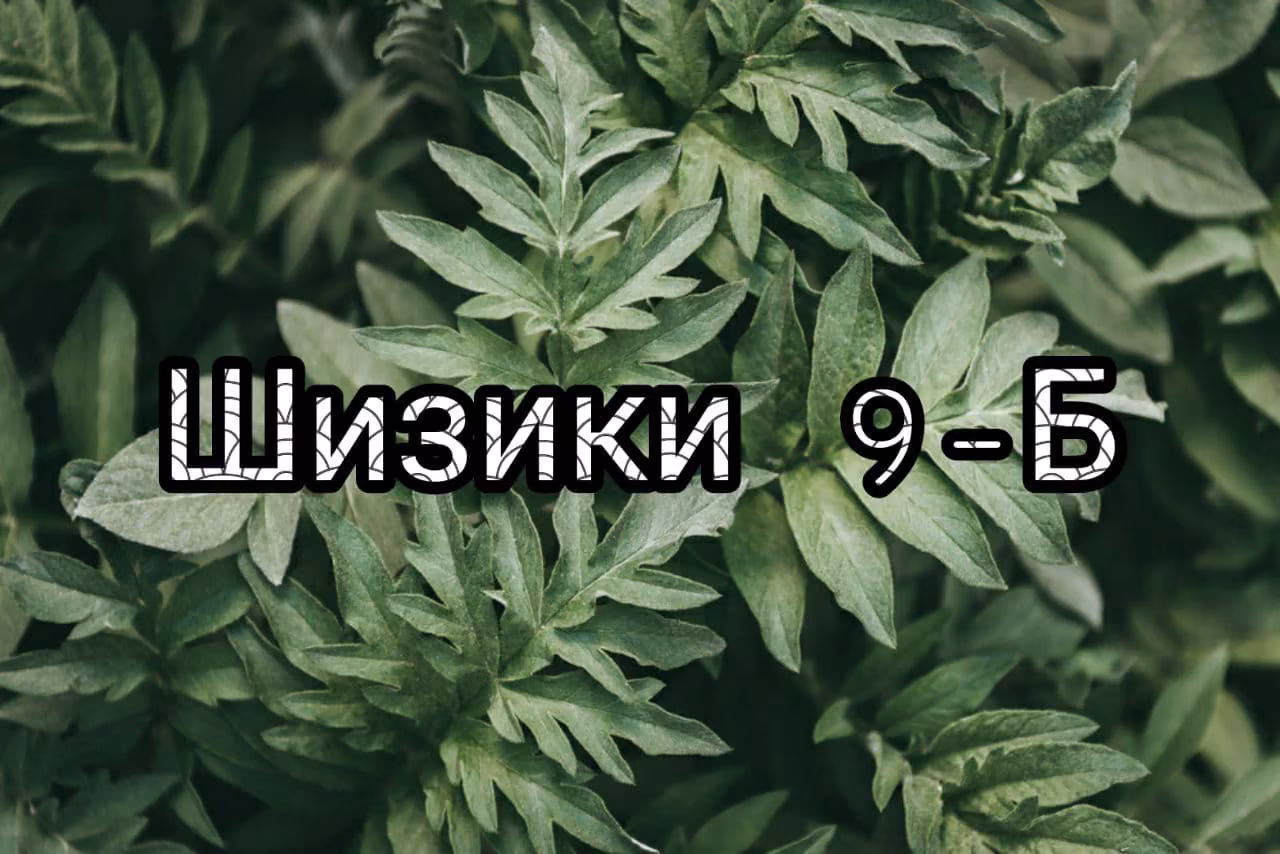 91966e0e98901b77a546542c0768b6de.jpg