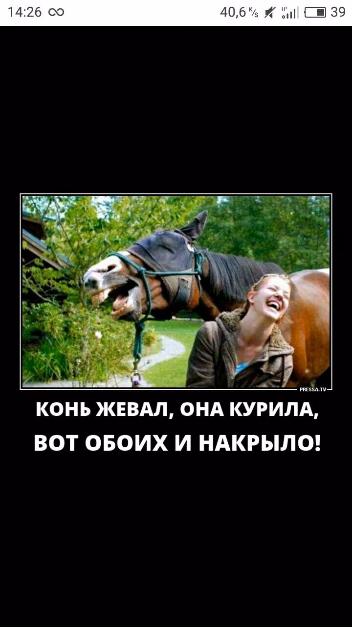 91a461e149302041cb5f12dbfc589d03.avif