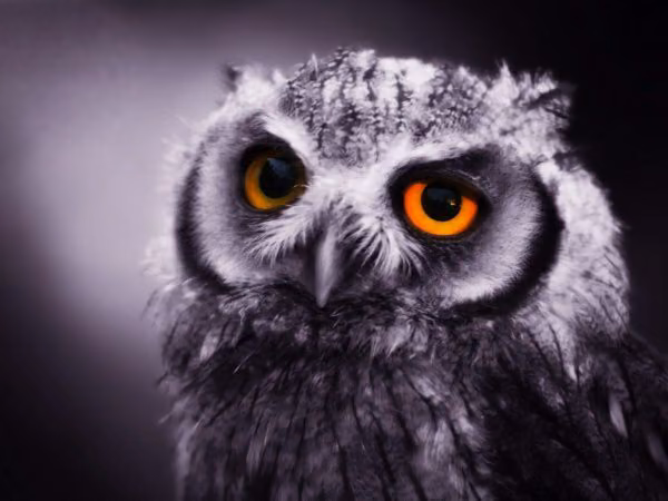 91b830d7de9929163d8bd687e3043633.avif