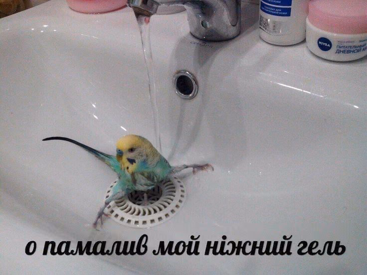 91c10ce2822640c2f1cda8af6bb5f6fa.avif