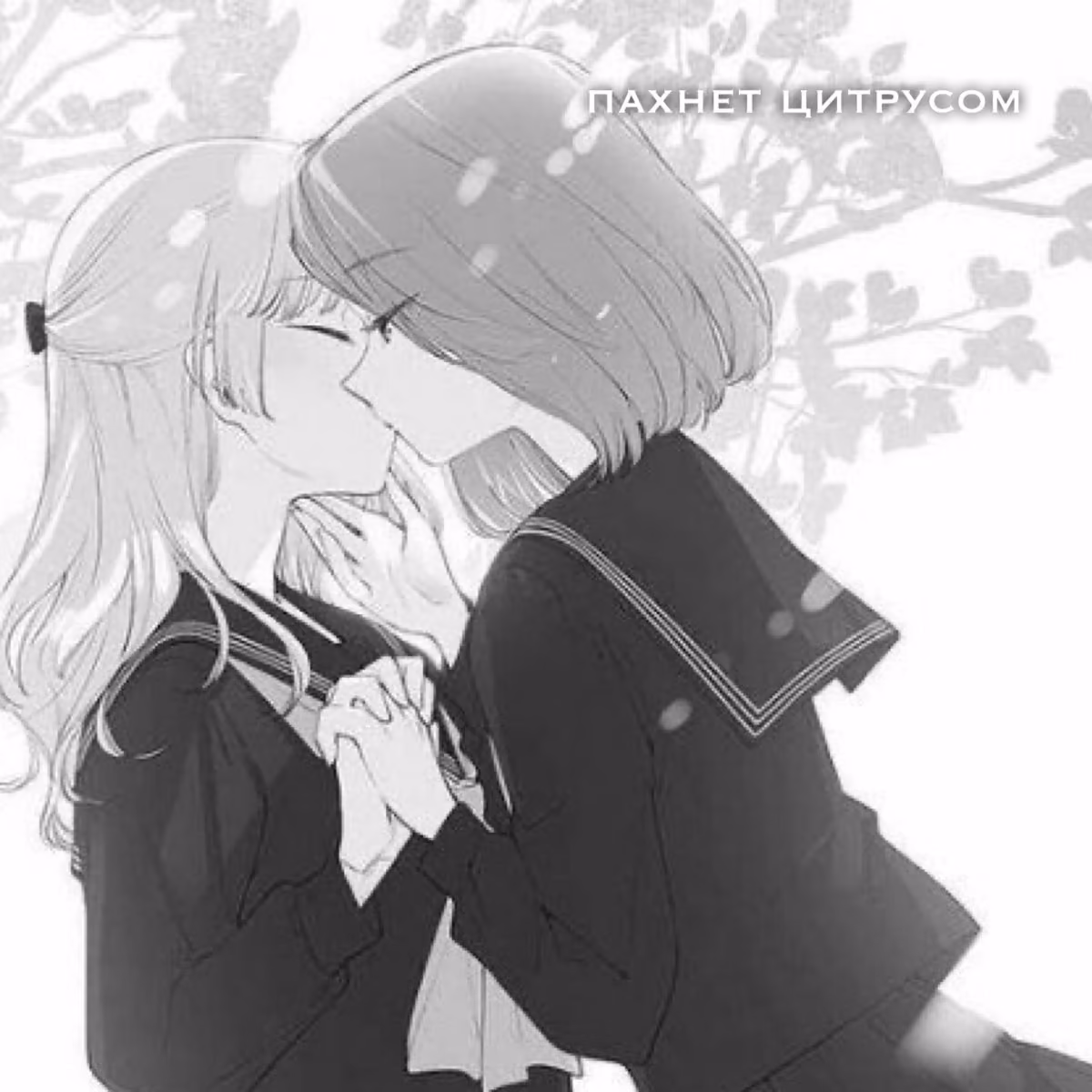 91c57abc40931dc8c1030aedbc4fc3b0.jpg