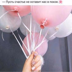 91c5f836cfaec418aaad42703e9bee95.jpg