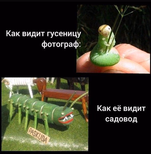 91d13feaa7ac8ee29a3b5f05b188f4c0.jpg