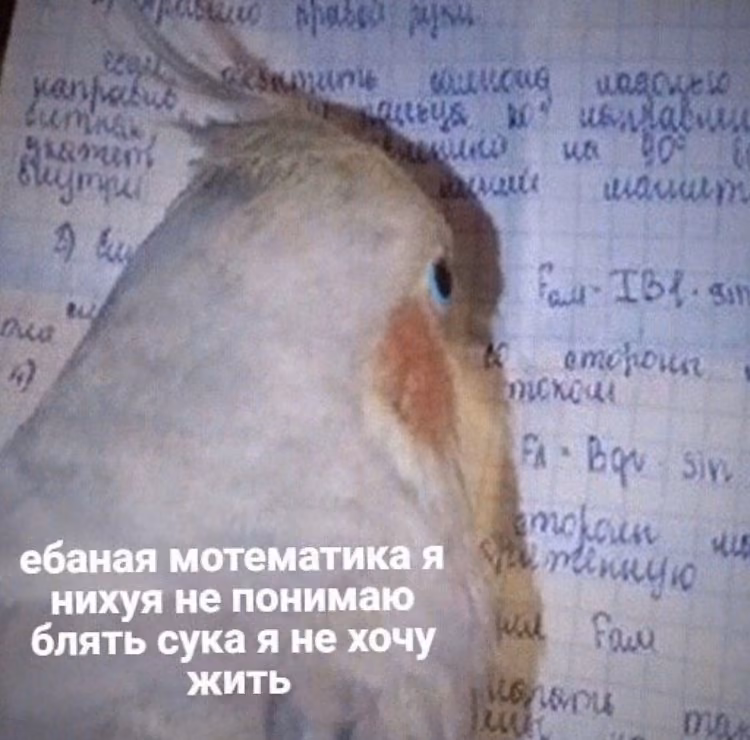 91d15d380a64c2d4f01c1a494c00e17b.jpg