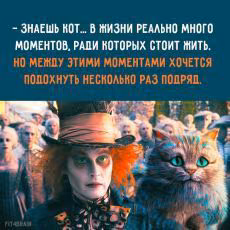 91d3f7b68918507f370c2a37937592b1.jpg