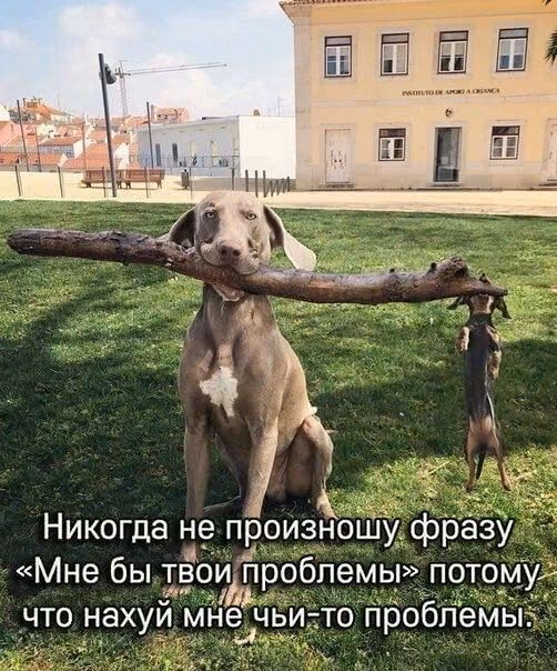 91de1171670b0eebbee6ea985f011fcc.jpg