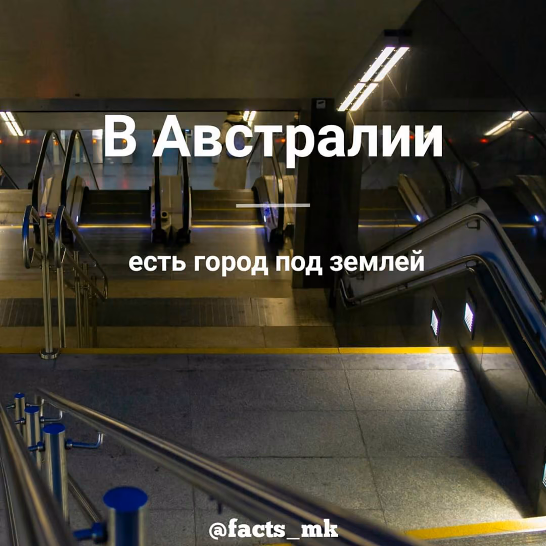 91df54625995a04d59d746297932d8ef.jpg