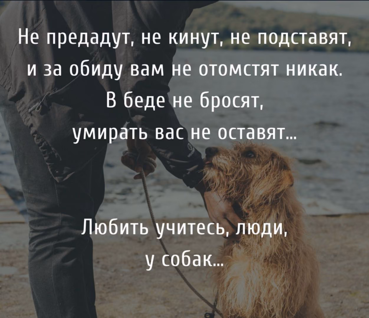 91dfeab9bf073fa8f60a8dc7eca07385.jpg