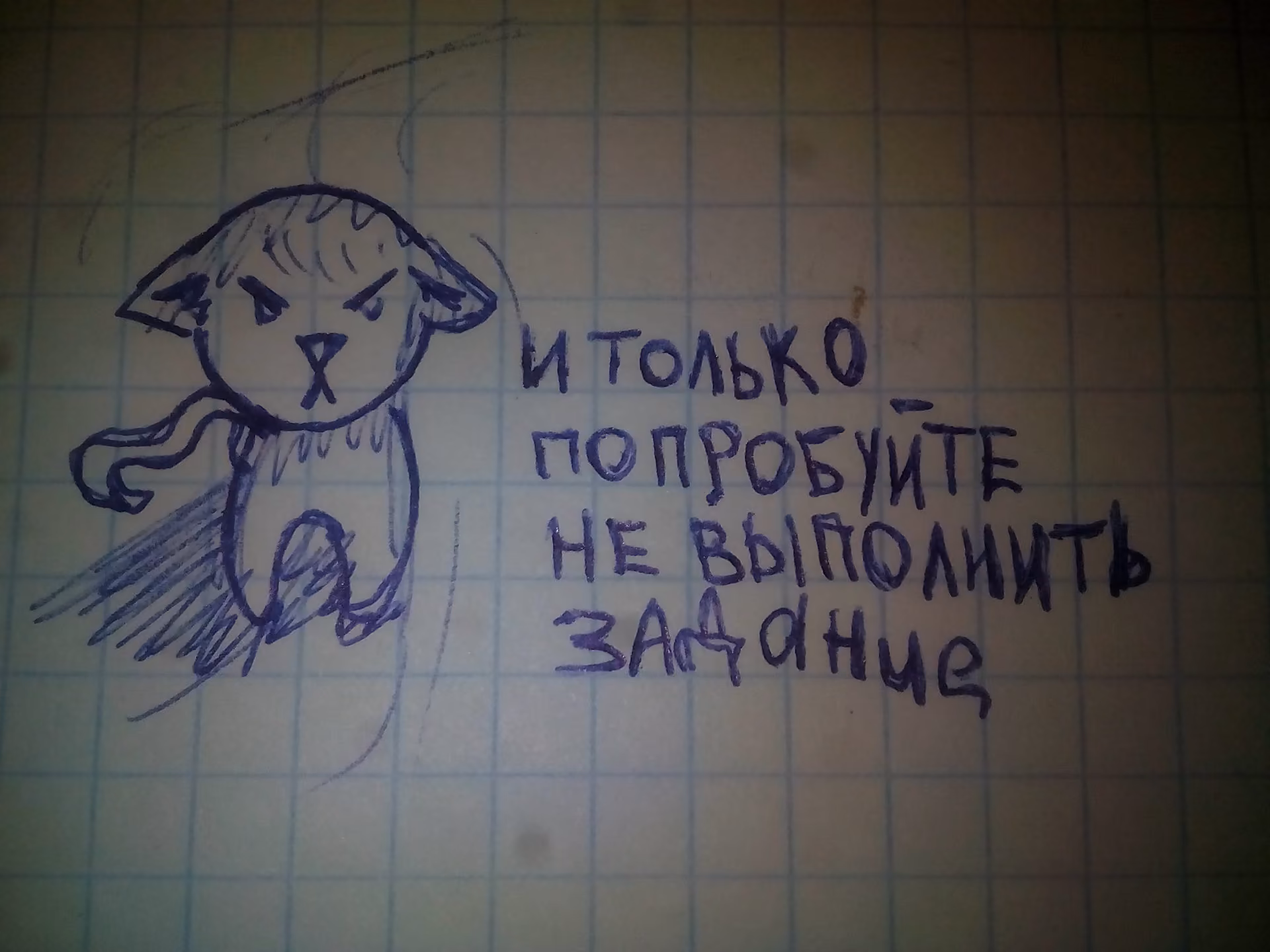 91efdb8108877ec5f372dd49616178e2.jpg