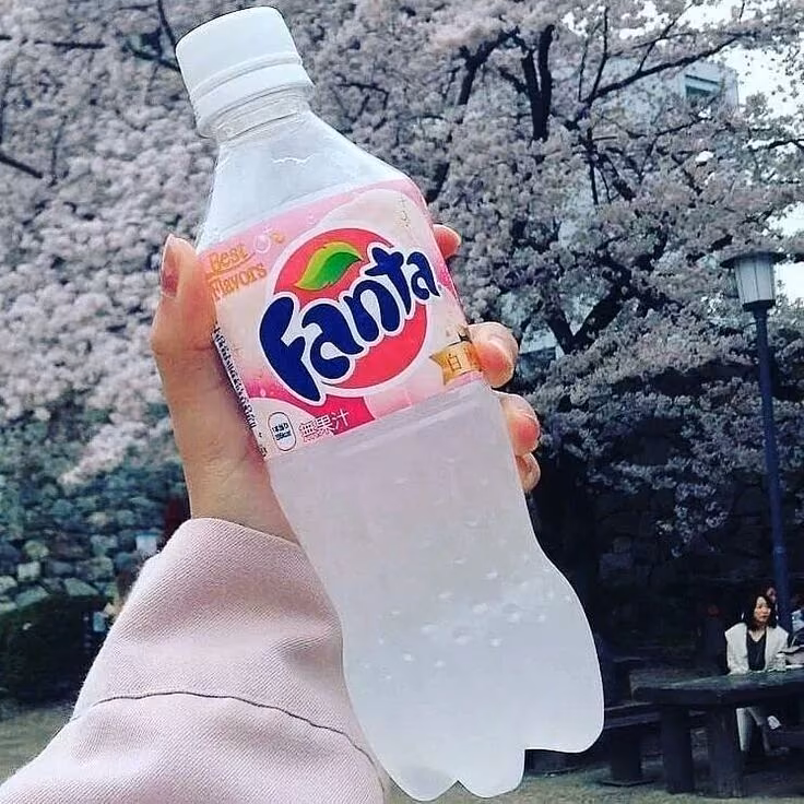 91f4dbf9e75e6e54b928d8e26b5fc9de.avif