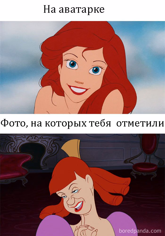 91fa35f4062f7f1316dffeb847ed59f5.avif