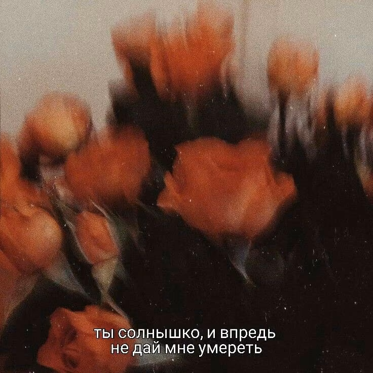 92004215622606c88609f0bfc9524e2b.avif