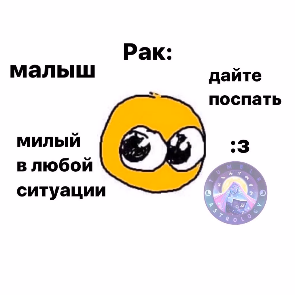 9208935c09669a5185b69997ba1a2174.avif