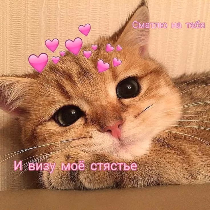 921cfafbded59209e02668c5bd3439a2.jpg