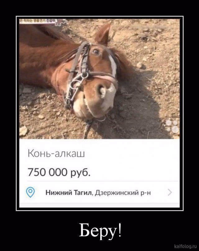 921e9388c989570655f5127939a11cf6.avif