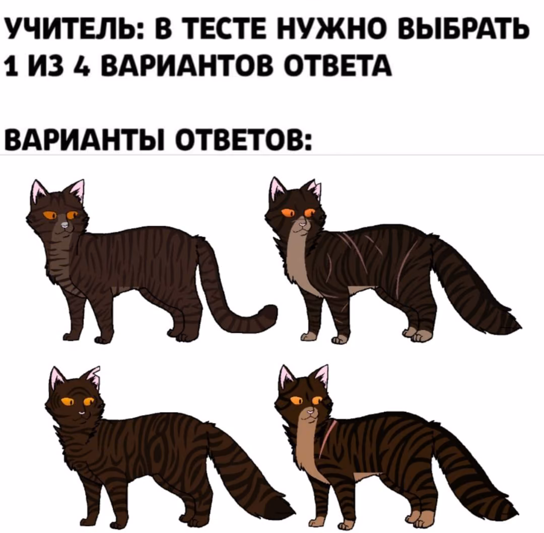 921fba70d065ccfdaad5ab30e147b37e.avif