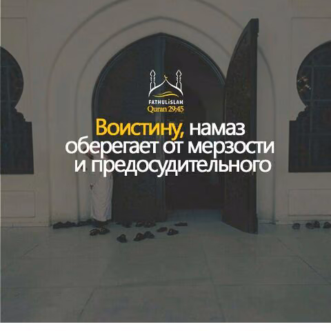 9227ab9eb696c413e7c7329cc25b64c7.avif