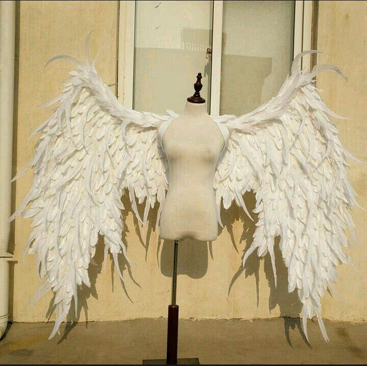 9227fe8aa56101f5c6c0e9f401609598.avif