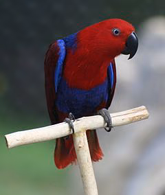 924264af5705476d74b41562633e2cf0.avif