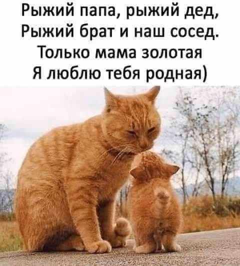 925bb7905afa58e9ad3ab38f20228d75.jpg