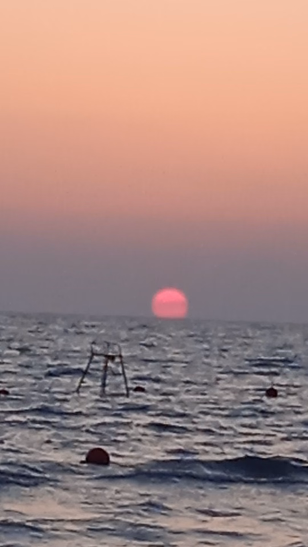 925e354186b0e0668b3bc67690d5c789.jpg