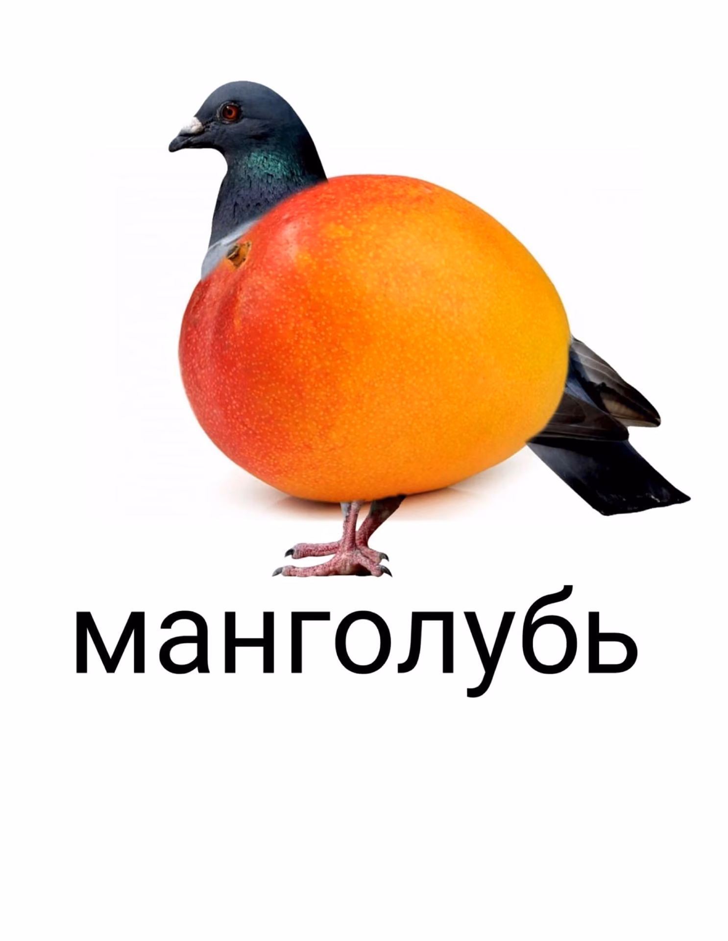 927f21ee90dd646946c13dd01aa7180f.avif