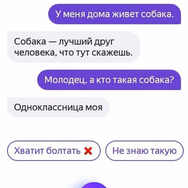 9297fad5d16ce4dbfa30d2e03f612eda.avif