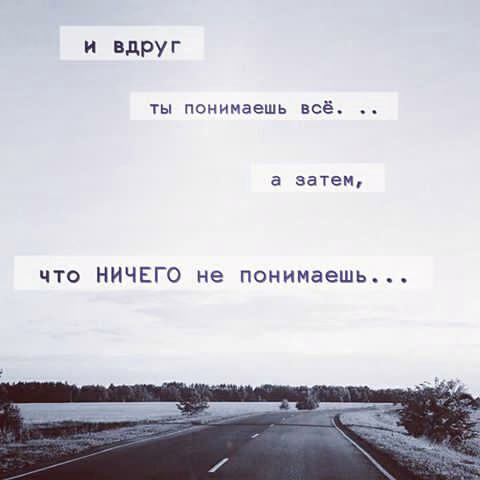 92a4480a6de2ce519ac0fb164a58902e.jpg