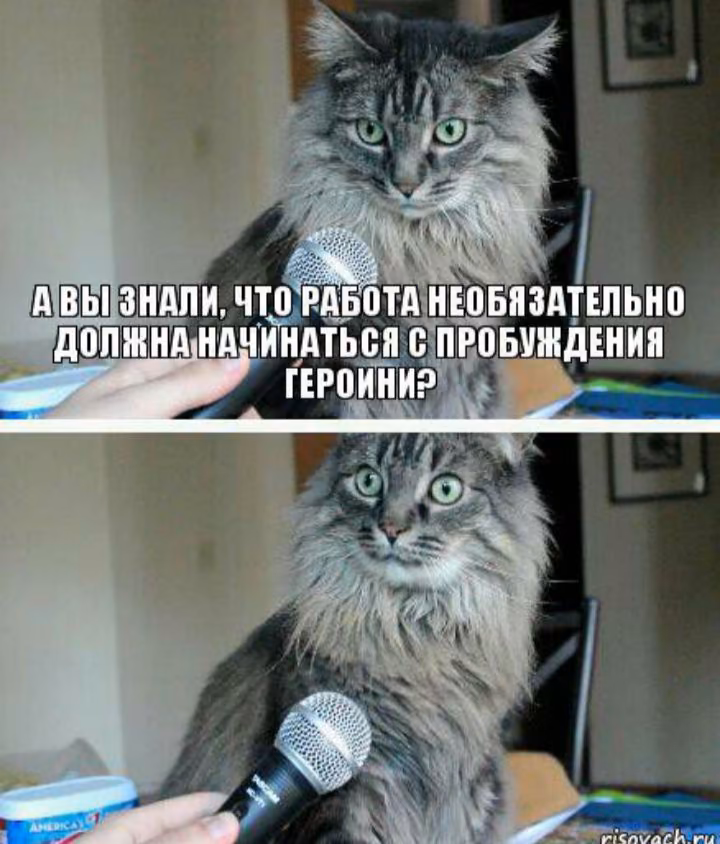 92a8393efa7f82fafee1df8c2bc46519.jpg