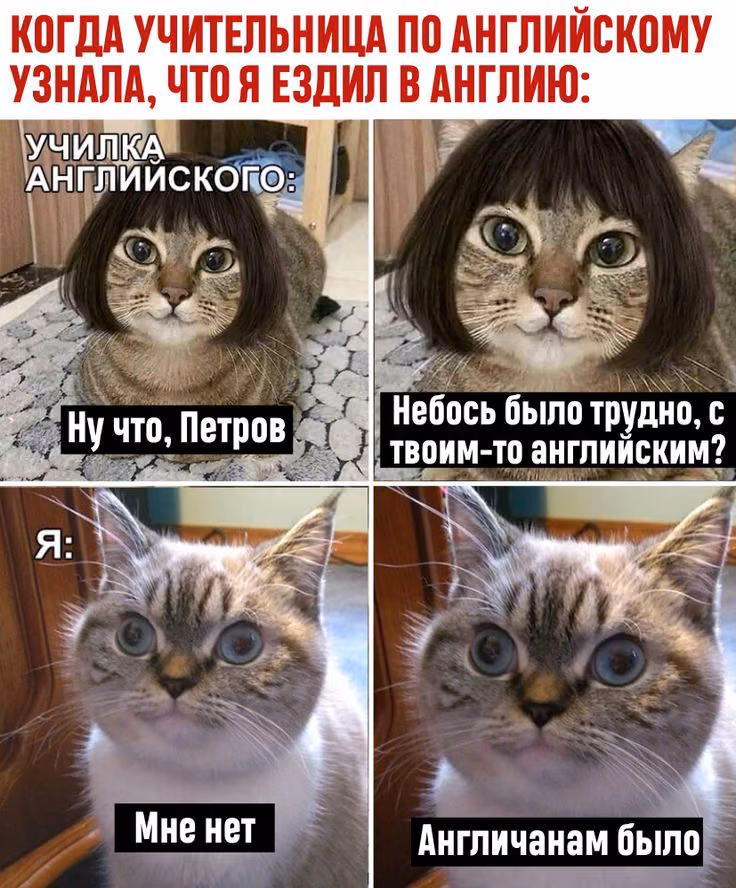 92c7a5f0bbb165fba9291cad6108f7b1.jpg