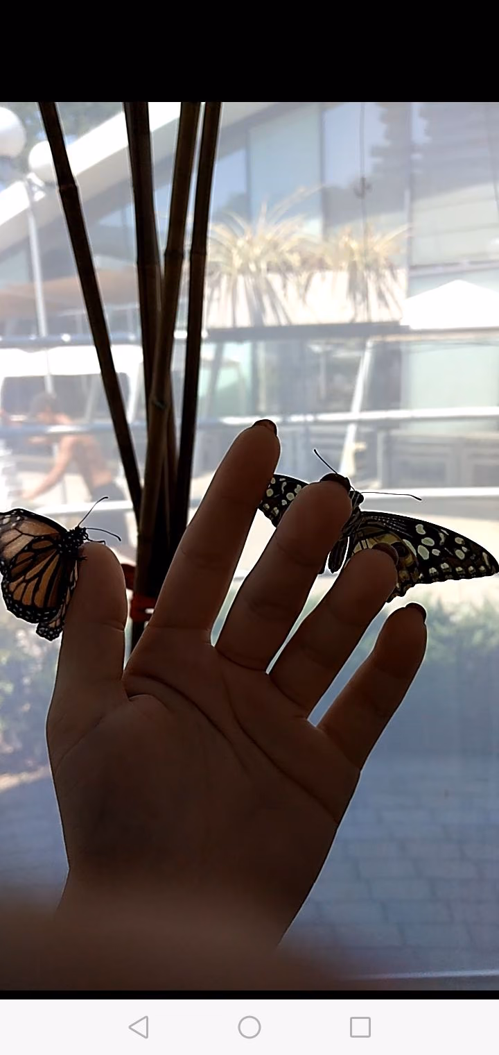92d3485498677e19c4875fa0ec3a6d16.avif