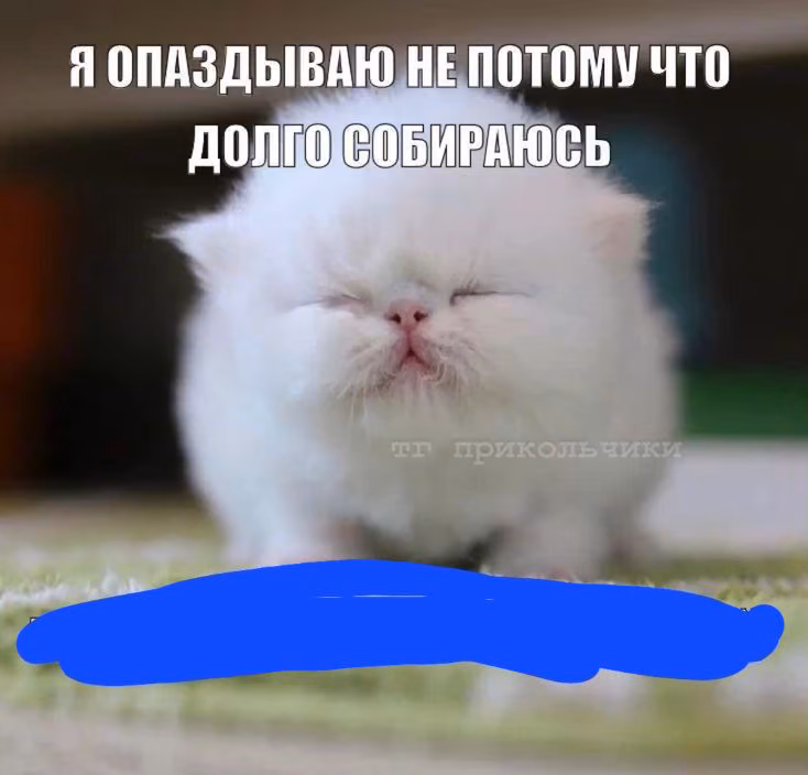 0208e85d405635cb6ec5e7cbaeed070d.jpg