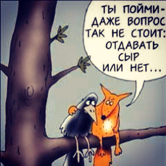 92d853a10e3d09d92e4e7513a17829b9.avif