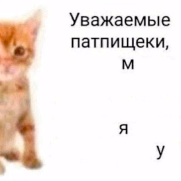 92de008fdc6700fbf0bf2a7231eb69fe.avif