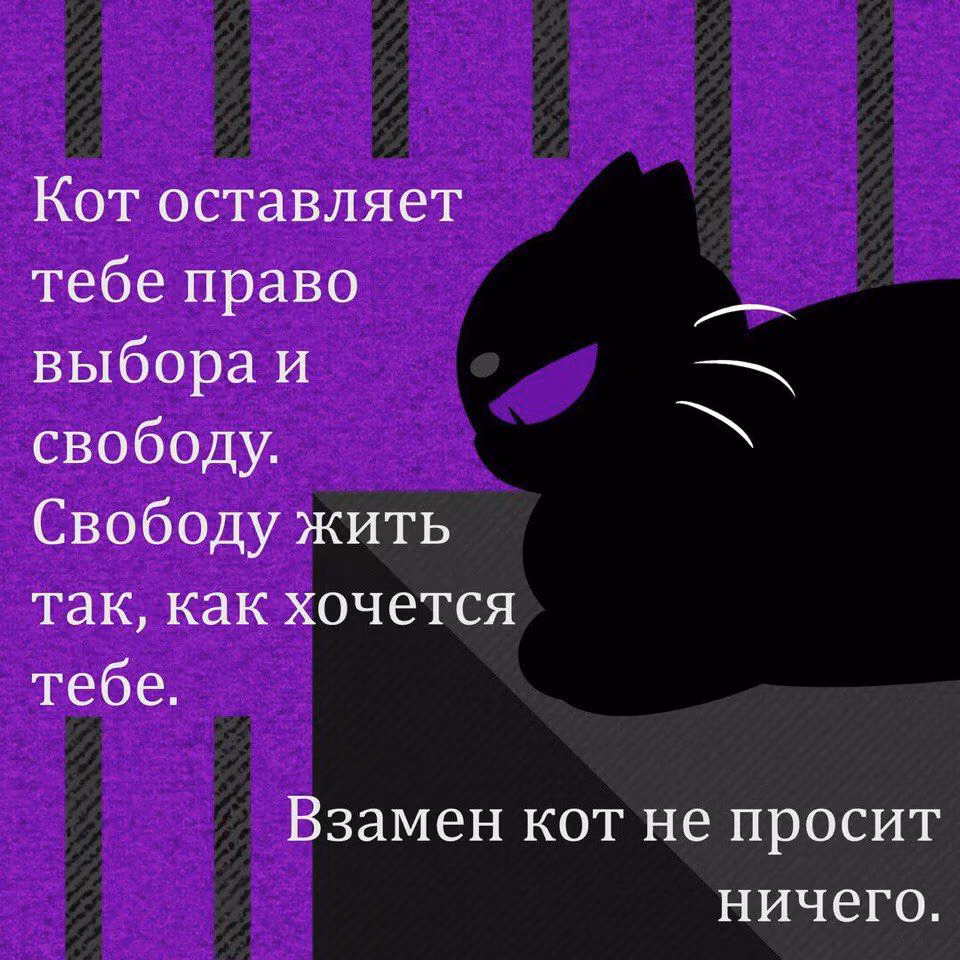 92e657cf3f798619582d01abbb85f4c0.jpg