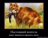 92f06e6aa29d8c5168da58c6d0bf8d1c.avif